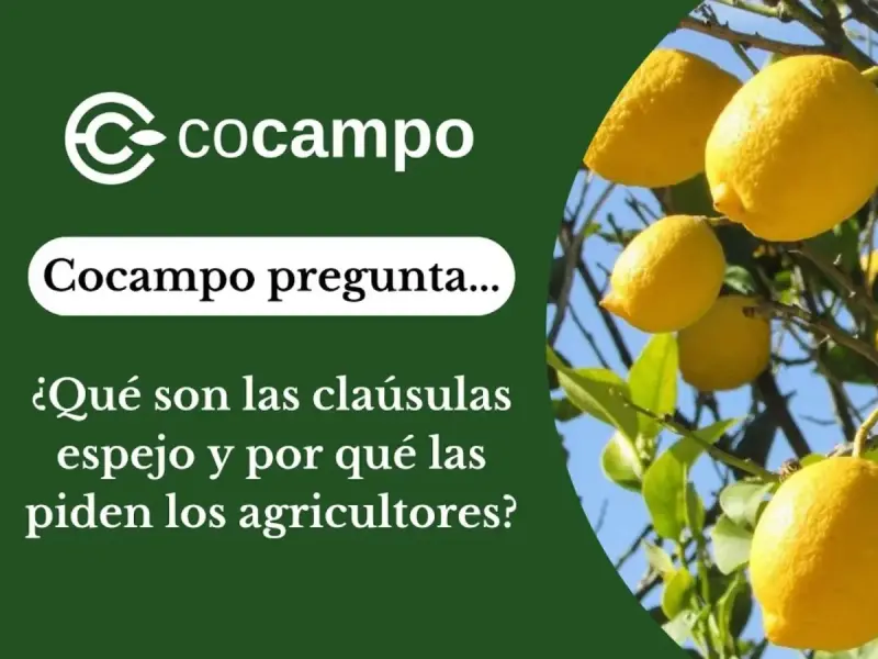 Cláusulas espejo: ¿Qué son y por qué las reclaman el Gobierno y los agricultores?