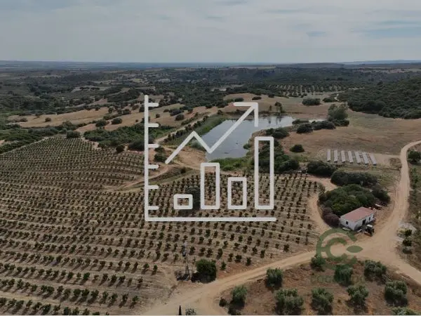 La compraventa de fincas rústicas alcanza un nuevo máximo