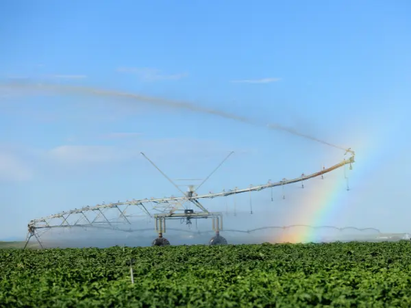 La España rural que vive con orgullo la diversidad sexual