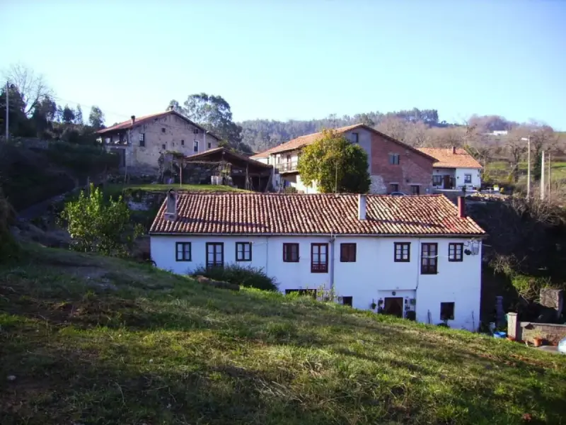 5 iniciativas para atraer a los jóvenes al mundo rural