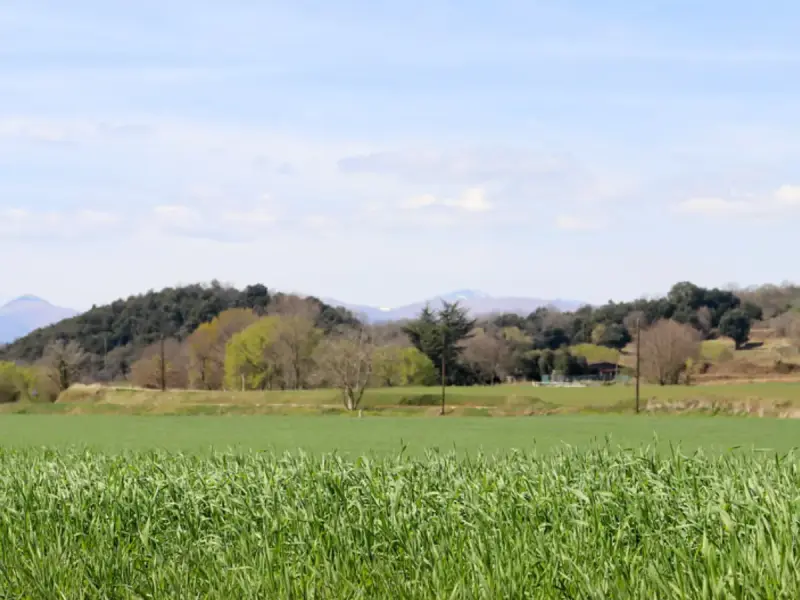 Así es la finca rústica ideal para los españoles