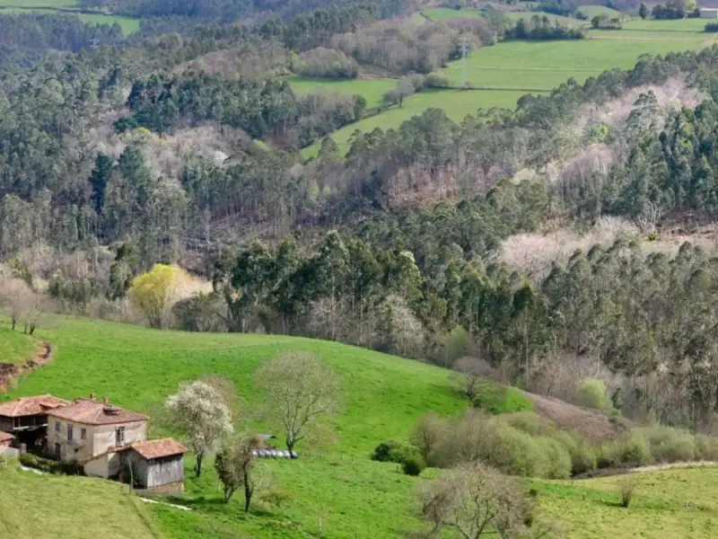 Cocampo propone la inversión en fincas rústicas como valor refugio para los ahorros frente a la volatilidad y la inflación