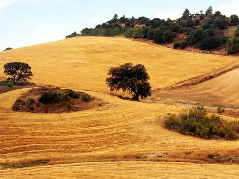 Cómo tramitar una herencia de terreno rústico en España paso a paso
