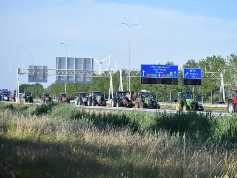 Por qué agricultores y ganaderos holandeses paralizan el país con sus protestas