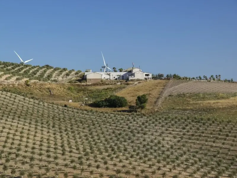 Por qué invertir ahora en una finca rústica