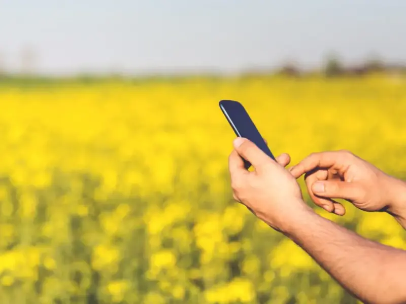 Todo lo que debes saber sobre ayudas a la digitalización del sector agroalimentario