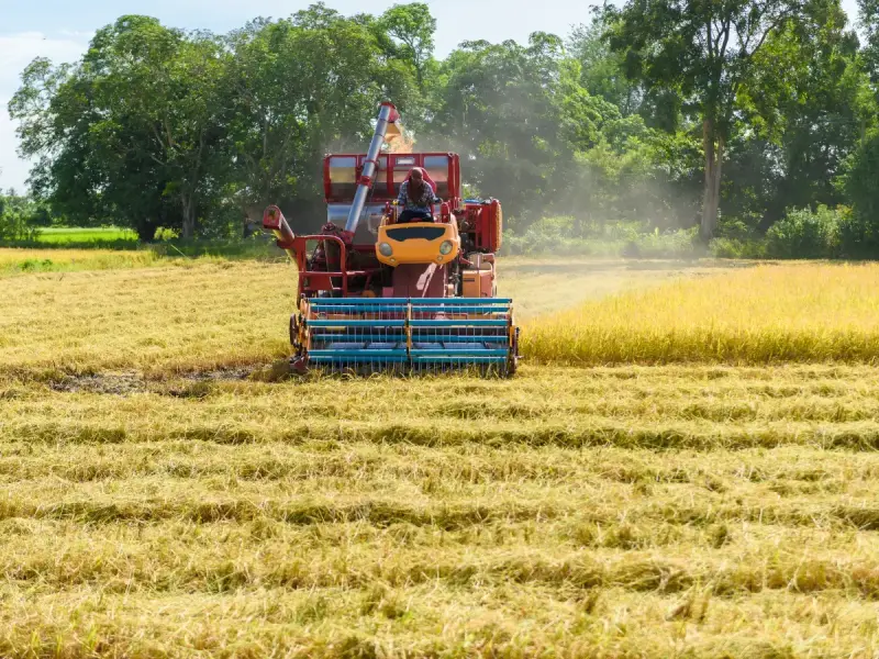 Derechos PAC (Política Agraria Común) 2023-2027, todo lo que necesitas saber