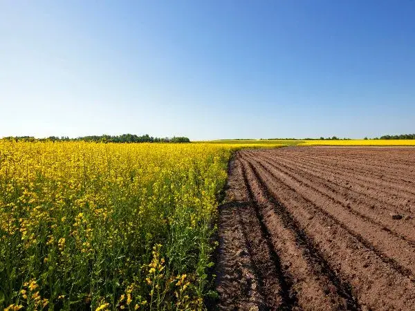 Cumbre europea y protesta agrícola