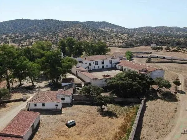 Las ejecuciones hipotecarias sobre fincas rústicas caen un 36,4% y encadenan dos años a la baja