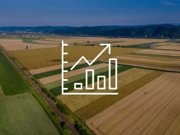 Las herencias, 14.487 en enero, siguen incrementando la fragmentación del suelo rústico en España y poniendo en riesgo la productividad agraria