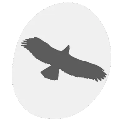 Fundación Amigos del Águila Imperial, Lince Ibérico y Espacios Naturales Privados photo