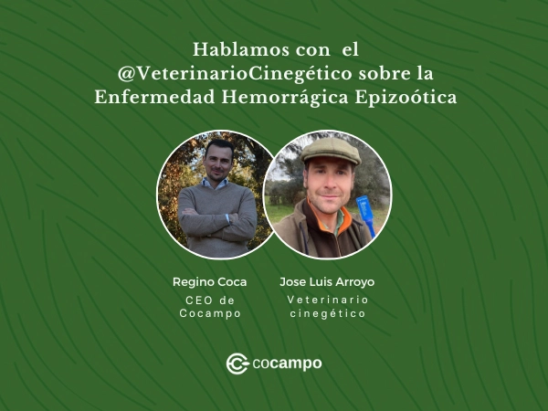 La Enfermedad Hemorrágica Epizoótica desafía la compraventa de fincas rústicas y la caza
