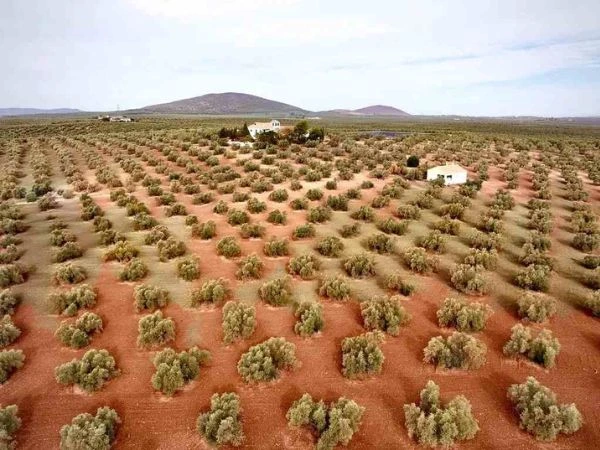 Firma de hipotecas sobre fincas rústicas: caída del 26,7% en agosto