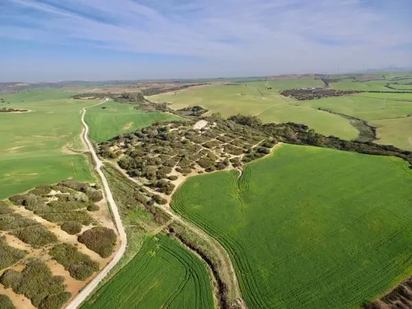 Navarra, Comunidad de Madrid, Galicia y Extremadura registran las mayores variaciones anuales en la compraventa de fincas rústicas