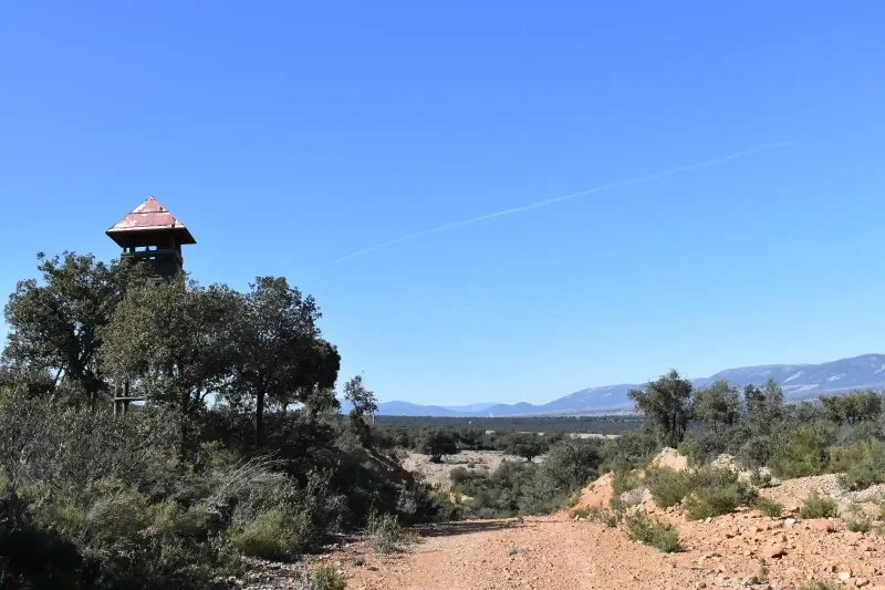 La compraventa de fincas rústicas crece un 10,6% y encadena dos meses al alza