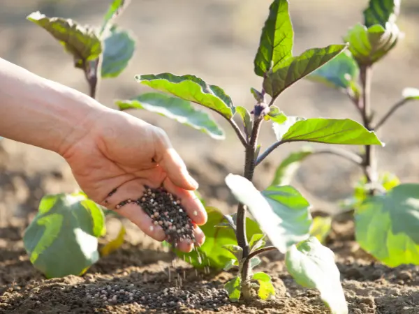 Estas son las 10 marcas de fertilizantes para la agricultura mejor valoradas del mercado
