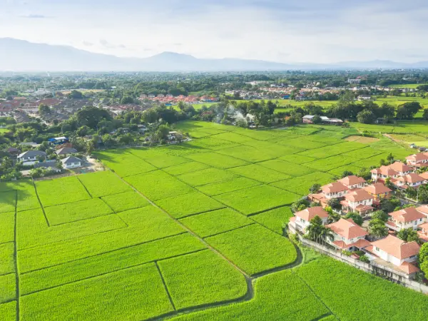 Caída del 15,9% en la firma de hipotecas sobre fincas rústicas