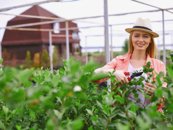 ¿Quiénes son los agro millennials?: La nueva generación de agricultores para el relevo del campo
