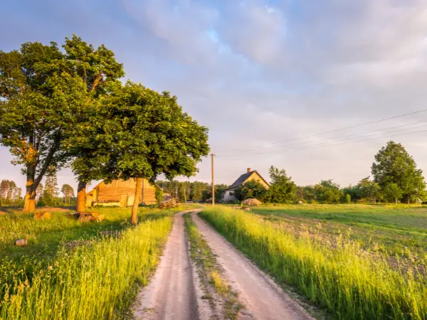 ¿Cuál es la diferencia entre valoración y tasación?