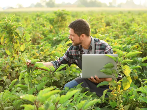 Tasadores homologados por el Banco de España: Comparativa y análisis
