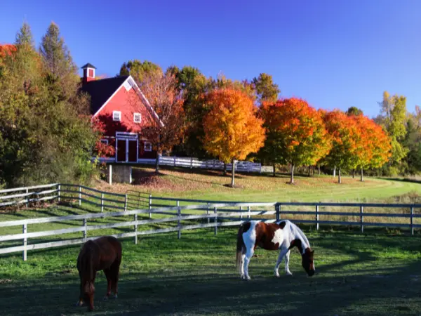 ¿Me pueden quitar un terreno sin escrituras?