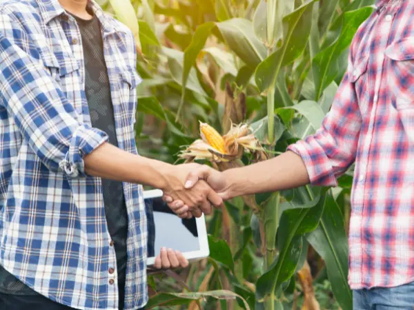 ¿Se puede vender un terreno heredado sin escritura? Todo lo que debes saber para hacerlo sin complicaciones