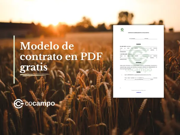 Cómo redactar un contrato de arrendamiento de finca rústica (incluye modelo)
