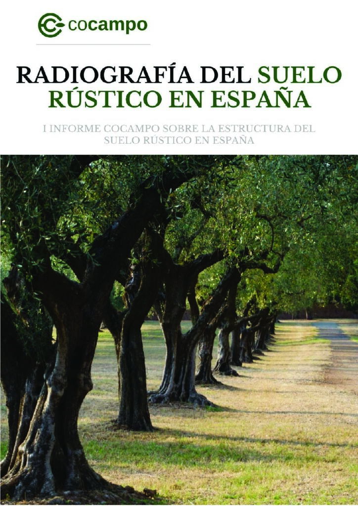COCAMPO-INFORME-ESTRUCTURA-SUELO-ESPANA_compressed