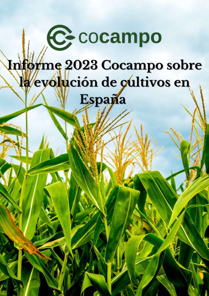Informe 2023 Cocampo evolución de cultivos