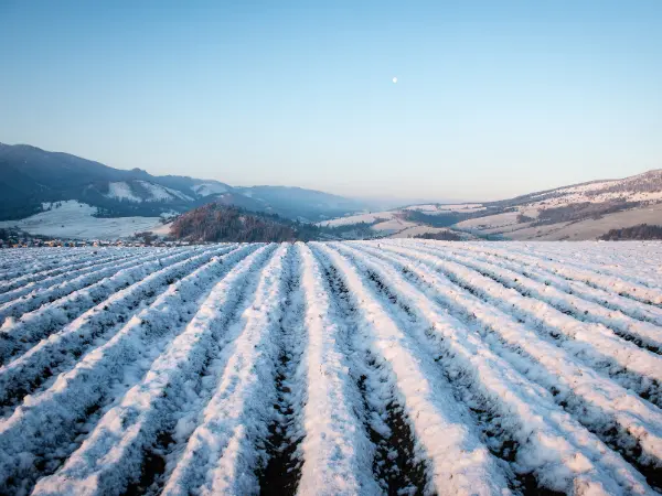 Los expertos adelantan cómo será el invierno 2024-2025 en España