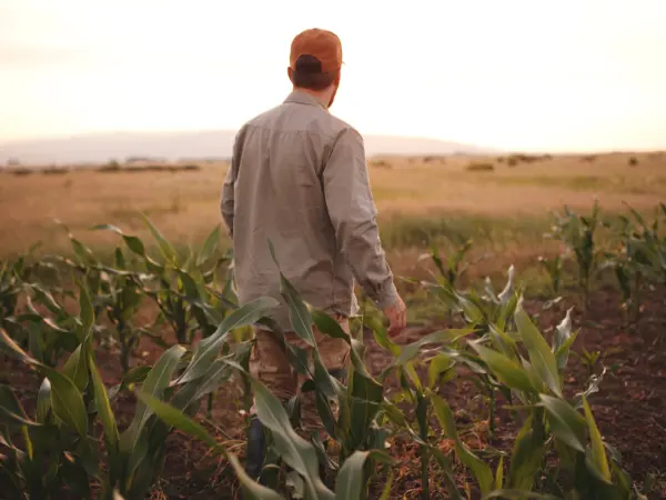 Cuáles son los requisitos y condiciones para ser un joven agricultor
