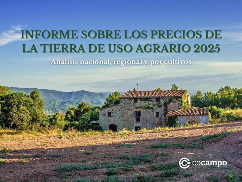 INFORME PRECIOS TIERRA USO AGRARIO ESPAÑA 2025