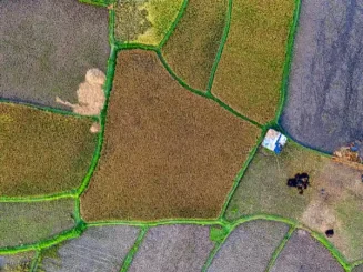 Vista aérea de parcelas agrícolas que explica qué significa segregar un terreno.