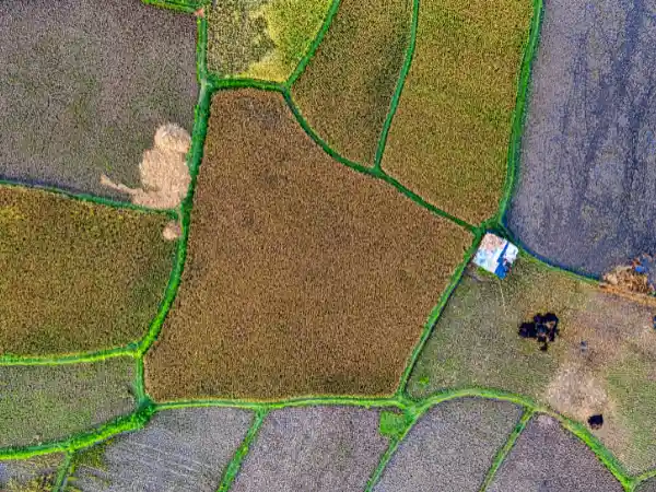 ¿Qué significa segregar un terreno? Coste y requisitos
