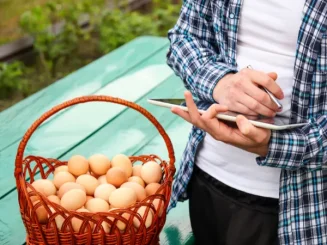 Productor registrando la trazabilidad alimentaria de huevos frescos.