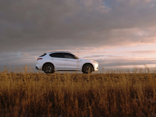 SUV todoterreno 4X4 en 2026: cuáles sirven de verdad en el campo y cuáles no 