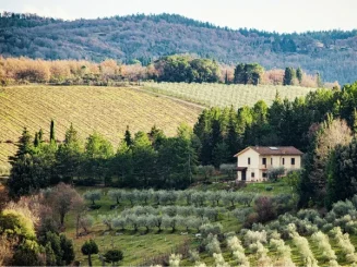 Paisaje rural con una finca agrícola entre colinas, campos de cultivo, olivares y una casa de campo rodeada de árboles.