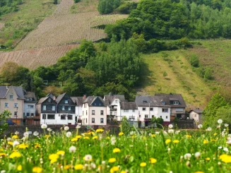 Pequeño pueblo rural junto a laderas con campos de cultivo y bosque, con pradera de flores silvestres en primer plano.