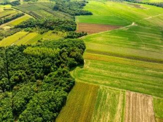 Vista aérea de campos agrícolas y zonas arboladas que muestran el mosaico de cultivos y paisaje rural.