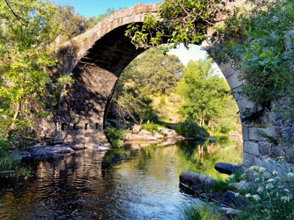 Fincas rústicas en el Valle del Tiétar: la ‘Andalucía de Ávila’ a un paso de Madrid