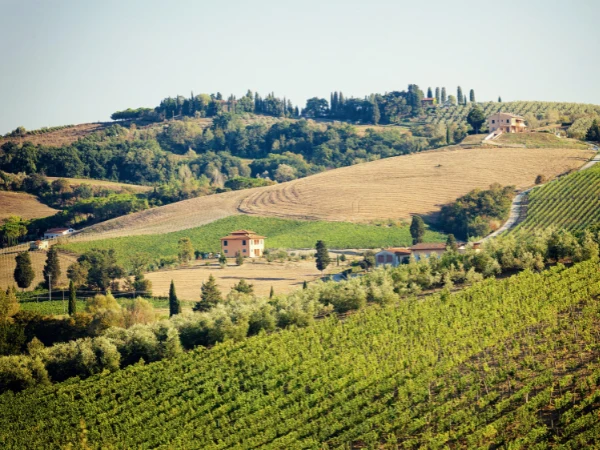 Ventajas de Vivir en el Campo en España 2026
