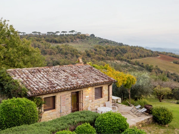 Tipos de chimeneas: guía completa para elegir la ideal en hogares rurales y urbanos en España 2026