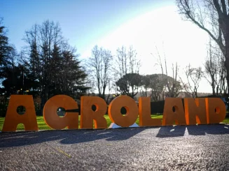 Instalación de letras grandes formando la palabra 'AGROLAND' en un entorno exterior durante el día, con árboles al fondo y una iluminación cálida de invierno.
