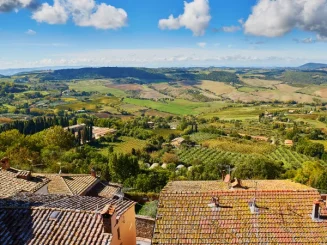 Vista panorámica de un paisaje rural, con campos verdes, viñedos y tejados tradicionales bajo un cielo despejado.