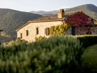 Casa rural de piedra con tejado tradicional, cubierta de vegetación y enredaderas, situada en entorno de montaña con colinas al fondo.