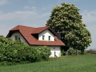 Casa rural rodeada de vegetación y un árbol grande al fondo.