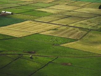 Vista aérea de parcelas agrícolas y praderas delimitadas, con distintos tonos de verde y amarillo, atravesadas por caminos rurales.