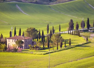 ejecuciones hipotecarias sobre fincas rústicas