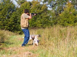 Hombre cazando con escopeta en el campo acompañado de dos perros de caza entre hierba alta y árboles.