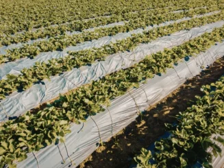 espacios test agrarios